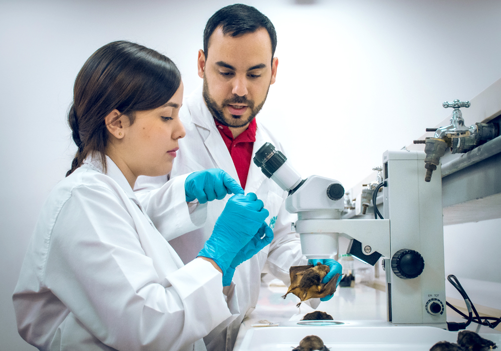 Tu futuro como profesional
