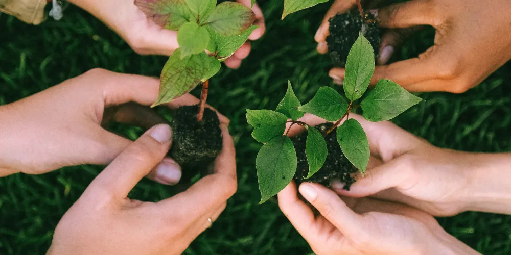 El Rol del Derecho Ambiental y la Formación Profesional en la Preservación del Medio Ambiente en Colombia