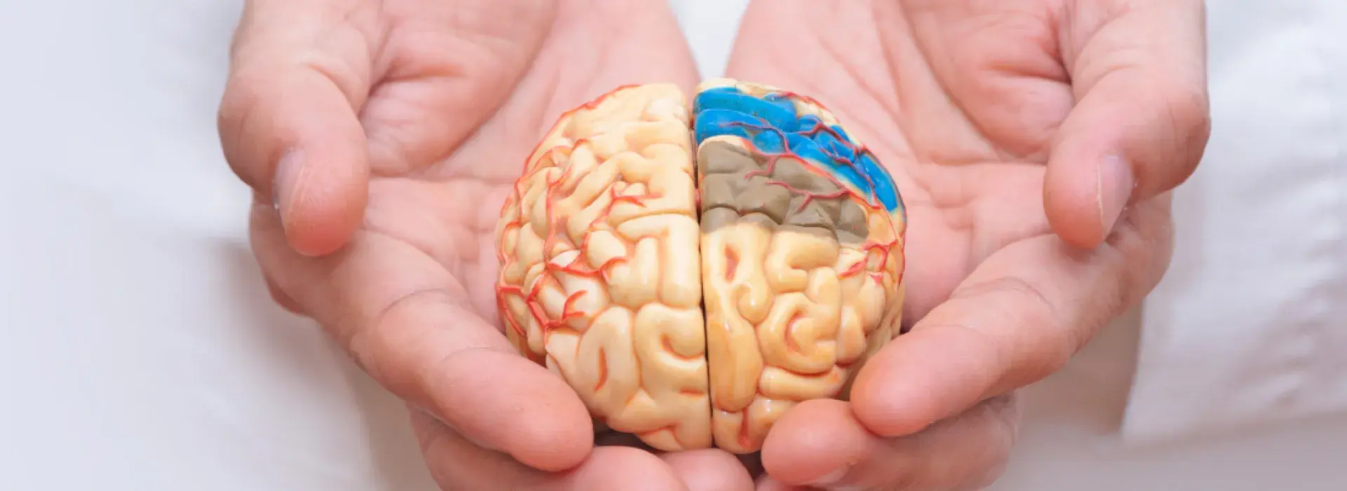 Maestría en Neuropsicología Clínica