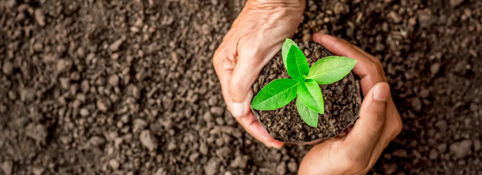 Especialización en Jurisdicción Agraria y Derecho de Tierras