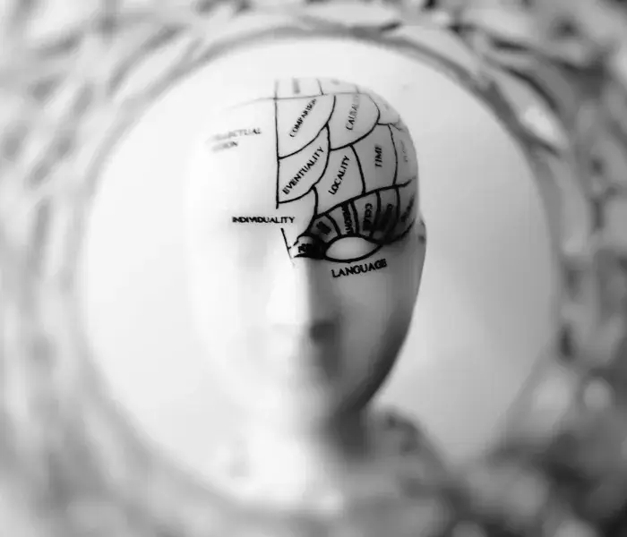 Salud y Calidad de Vida (SYCV)